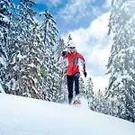 Family Near Wildkogel Ski-lift Holiday home *