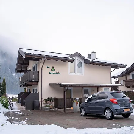 Ferienhaus Family Near Wildkogel Ski-lift *